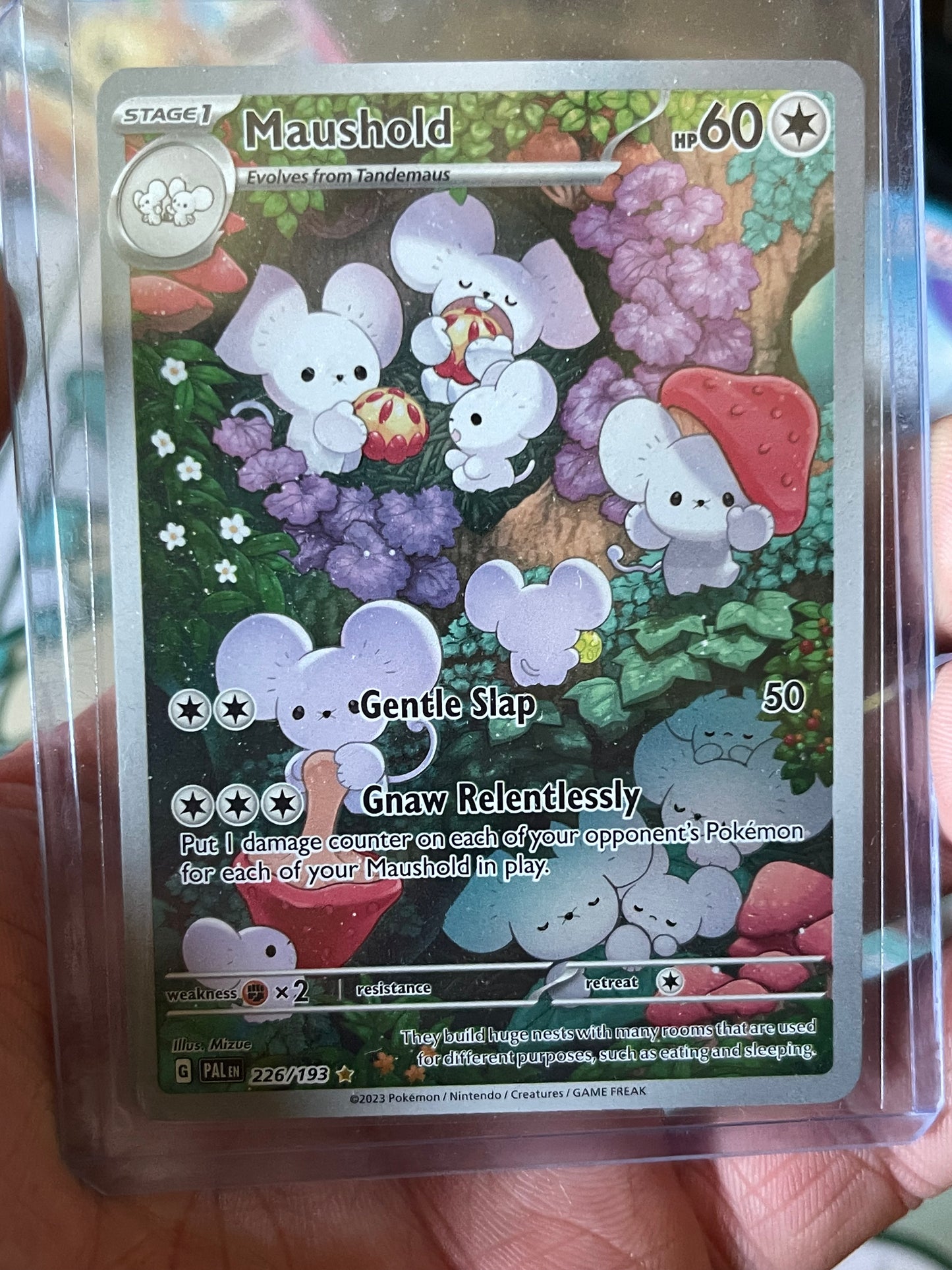 One Spin - The Pokémon WHEEL OF EXTRAVAGANZA!