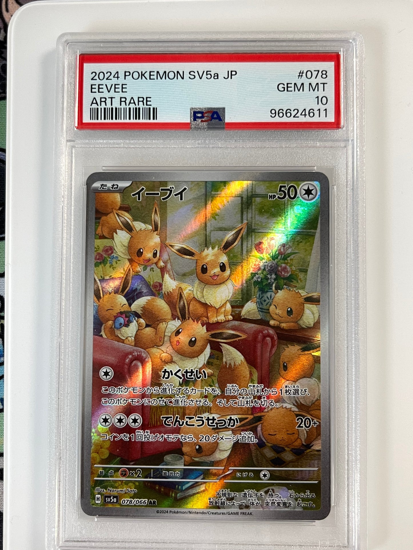 One Spin - The Pokémon WHEEL OF EXTRAVAGANZA 3.0