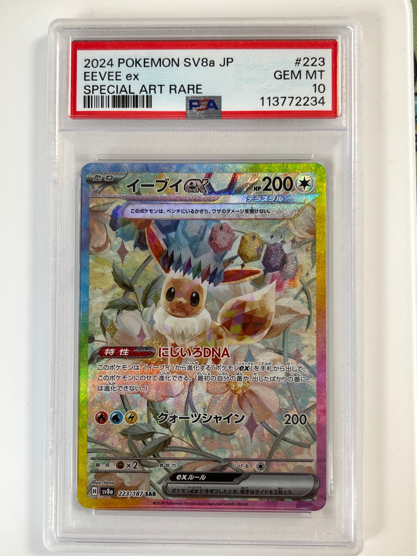 One Spin - The Pokémon WHEEL OF EXTRAVAGANZA 3.0