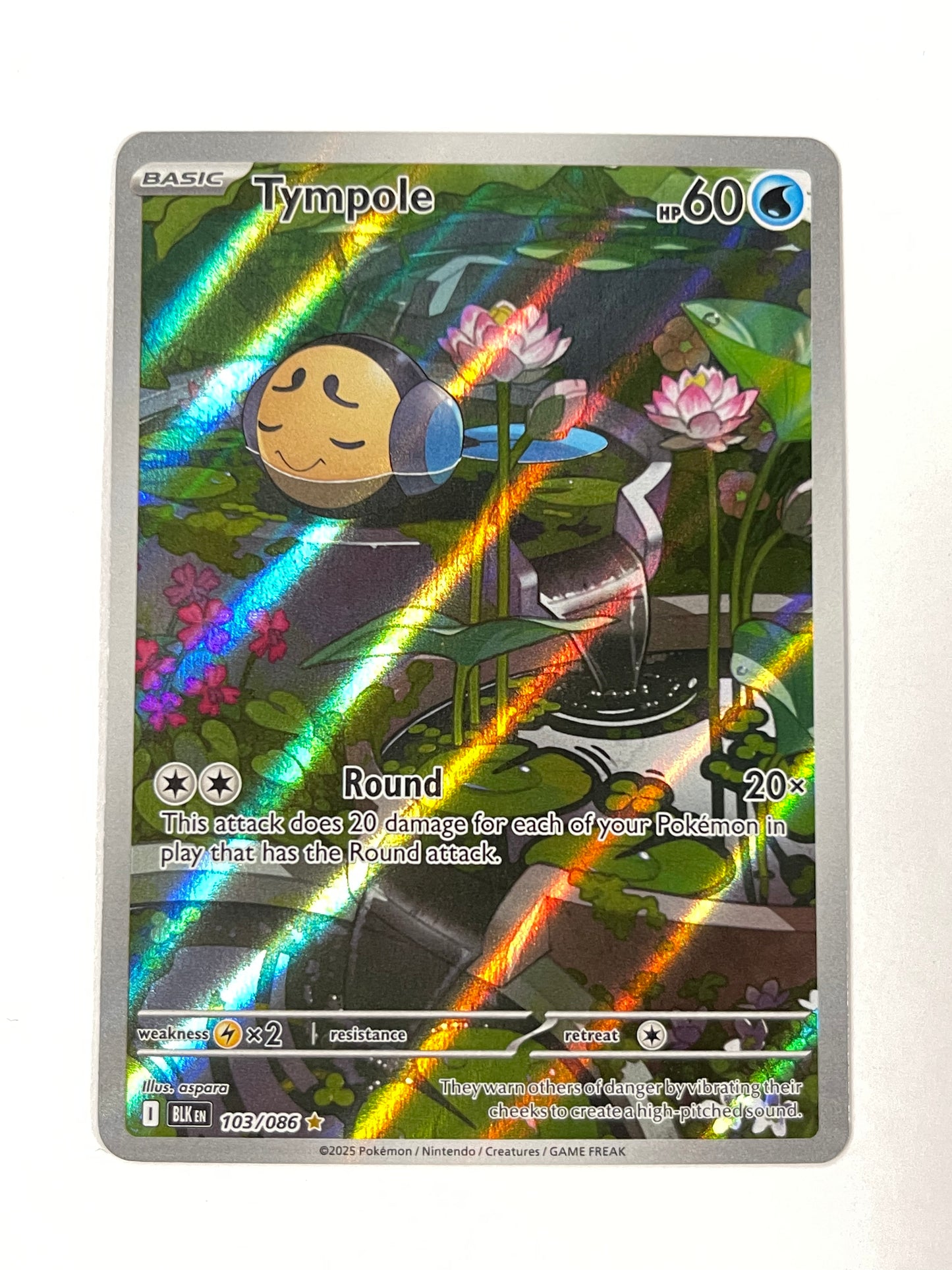 Tympole - 103/086 - SV: Black Bolt (BLK)